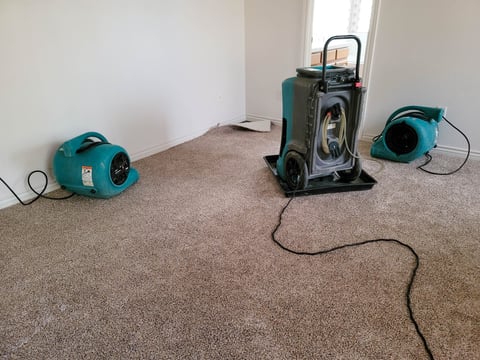 Industrial dehumidifiers and air movers