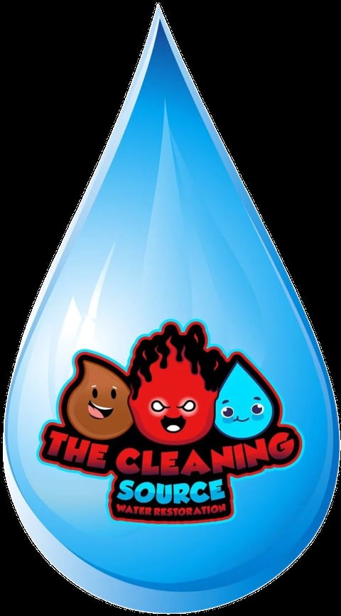 Large blue water drop containing The Cleaning Source logo with three cartoon characters representing dirt, fire, and water